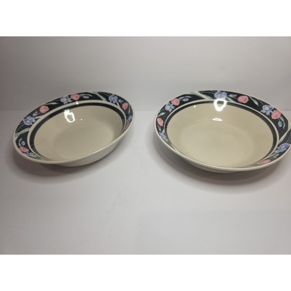 Tienshan Other - 2 Tienshan Stoneware Madrid Cereal Soup Bowl 6.5"  Replacements Pink Tulips Iris